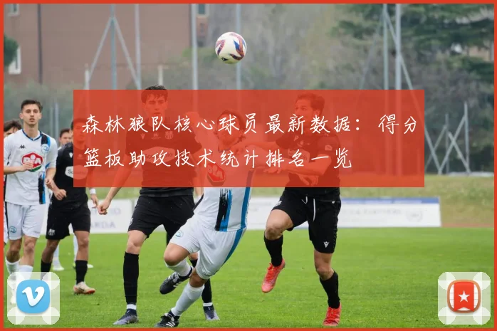 森林狼队核心球员最新数据：得分篮板助攻技术统计排名一览