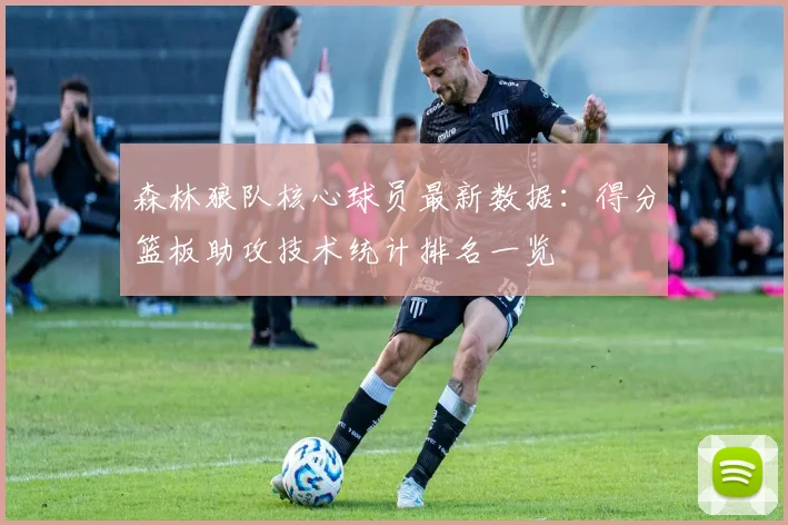森林狼队核心球员最新数据：得分篮板助攻技术统计排名一览