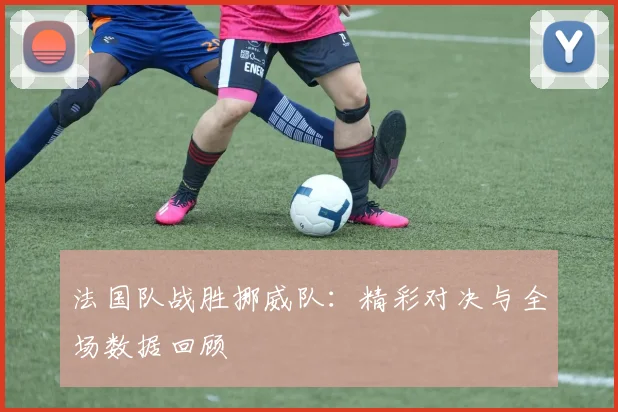 法国队战胜挪威队：精彩对决与全场数据回顾