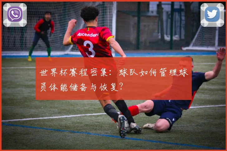 世界杯赛程密集：球队如何管理球员体能储备与恢复？